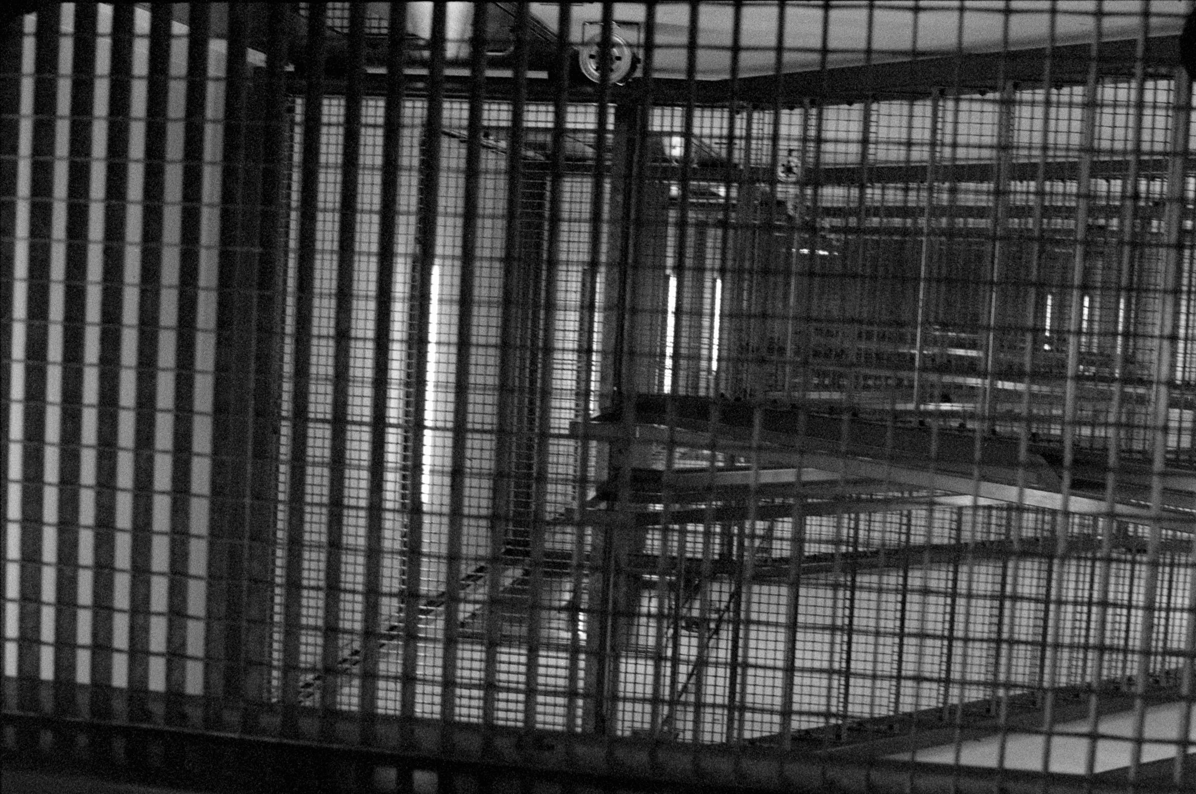 AHP F1994 11 004 sc250521 img25 NLP